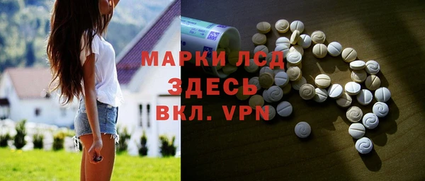 стаф Вяземский