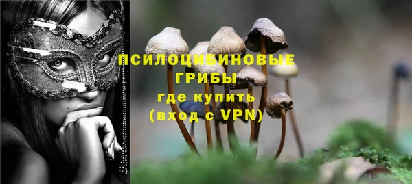 стаф Вяземский
