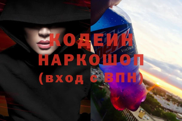 стаф Вяземский