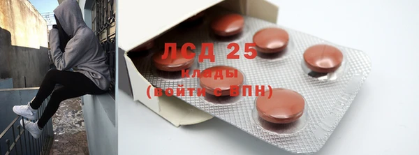 стаф Вяземский