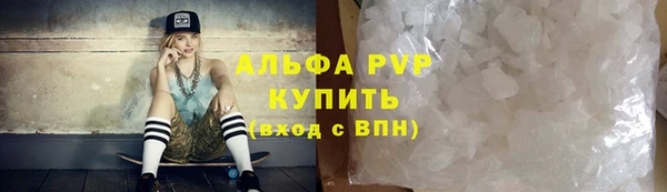 стаф Вяземский