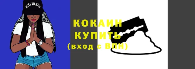 стаф Вяземский