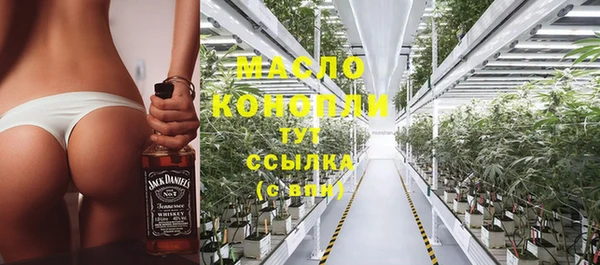 стаф Вяземский