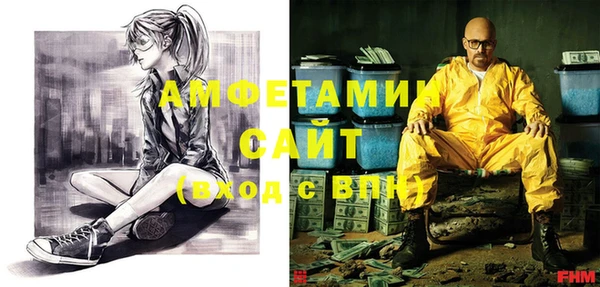 стаф Вяземский