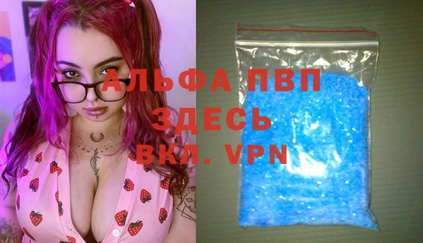 стаф Вяземский
