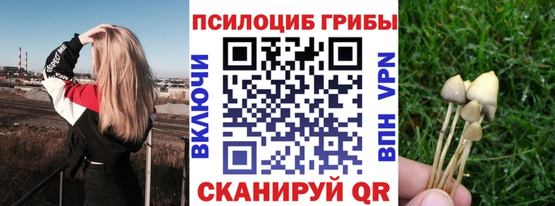 Галлюциногенные грибы Psilocybe  мориарти какой сайт  Невель  где продают наркотики 